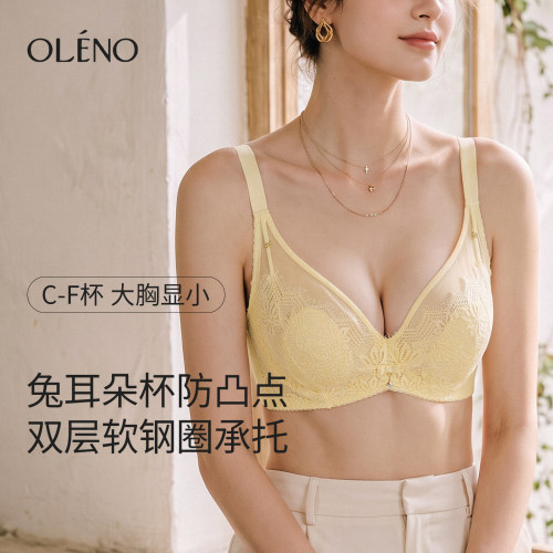 奥丽侬法式蕾丝显小软钢圈薄文胸