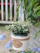 垂吊悬挂式 饰盆 实木木质花盆吊盆挂盆吊兰绿萝盆栽创意阳台空中装