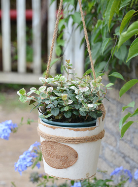 垂吊悬挂式实木木质花盆吊盆挂盆吊兰绿萝盆栽创意阳台空中装饰盆