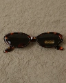 Tortoiseshell Color (Polarized)