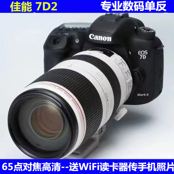 佳能APS画幅高级专业单反摄影