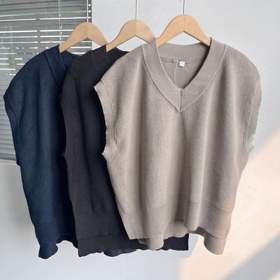 楼10-6春秋毛衣马甲背心无袖套头针织衫坎肩叠穿打底上衣H25-3