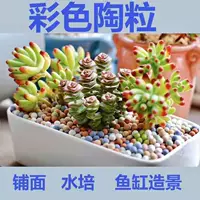 5-6 мм смешанная керамика 1 кот