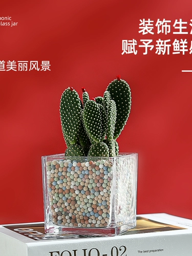 Простая гидропонная цветочная горшка ортопедическая стеклянная ваза Прозрачная зеленая укропа Гидравлическая растительная посуда, качели для черепах, цветочное расположение