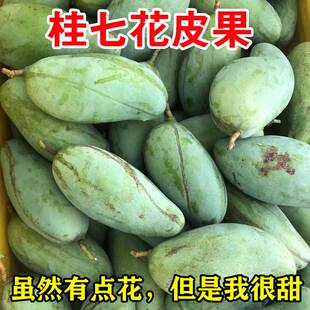 花皮果广西百色田东桂七芒香芒芒果新鲜当季水果现摘现发