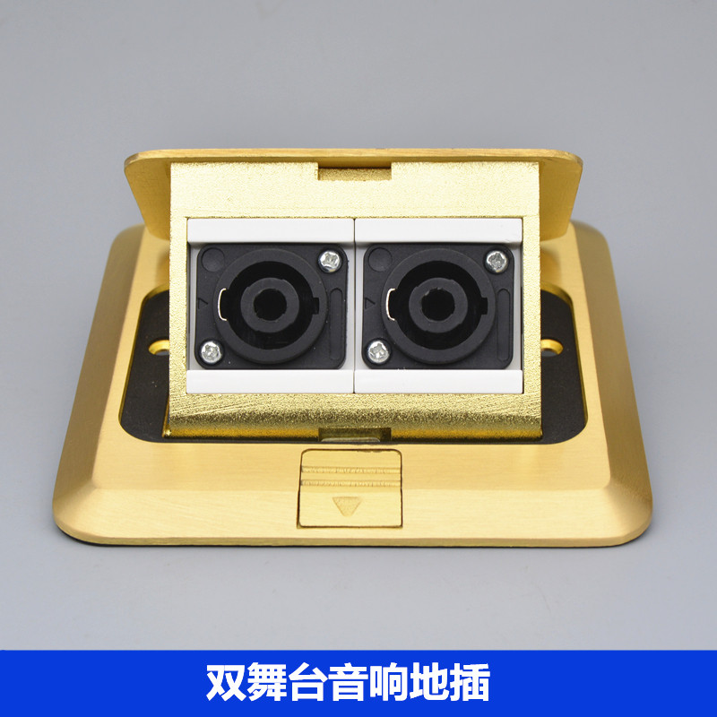 弹起式双口大四芯欧姆头地面插座二位双舞台音响卡农音箱地插面板