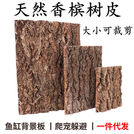 真树皮软木树皮香槟树皮爬宠鱼缸造景绿植装饰水族装饰贴墙背景板