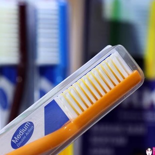 FORMULA西德美人牙刷中硬毛标准头合家欢一家人6色进口港货12装