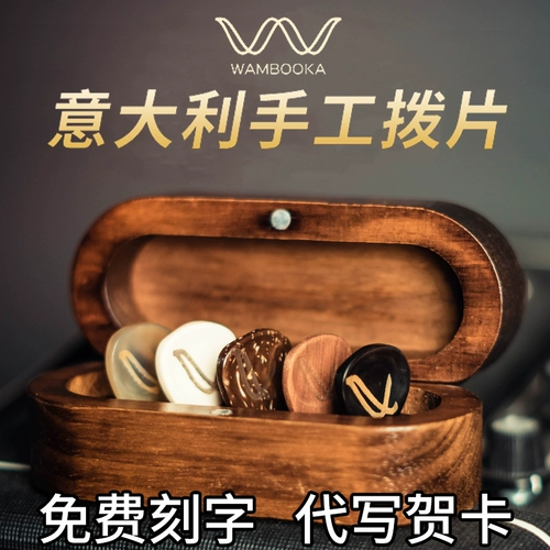 Элитная гитара, DIY, Италия