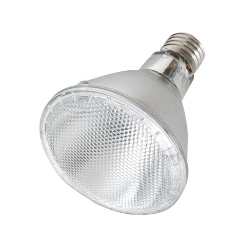 LED射灯12W螺口PAR30