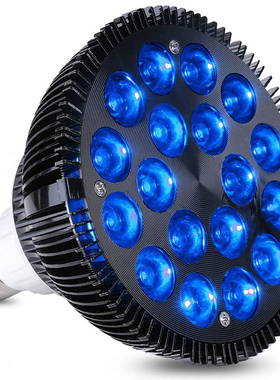 外贸货源 PAR38 红外理疗灯 红光蓝光18W 54WLED植物生长补光射灯