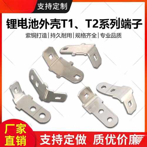 锂电池专用塑料外壳镀银铜端子T1