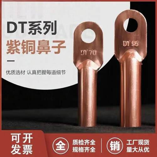 铜鼻子接线端子DT10/1635507095