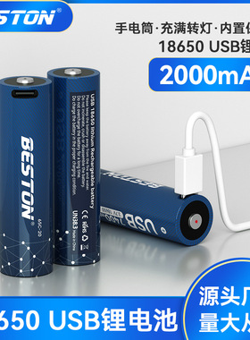 beston佰仕通 3.7V2000mAh小风扇强光手电18650锂电池USB充电电池