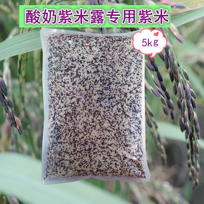 包邮紫米墨江酸奶专用紫米露奶茶