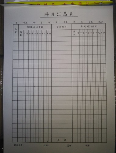 莱特代替款 科目汇总表