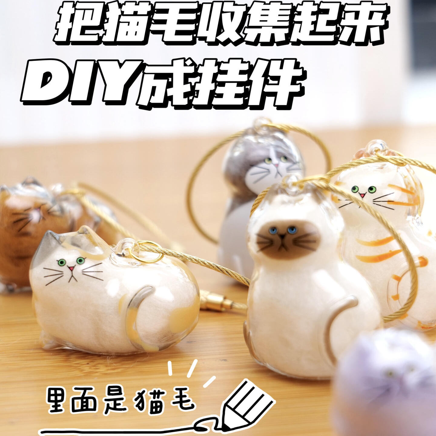 日本BRIGHTLINK透明猫毛收纳盒