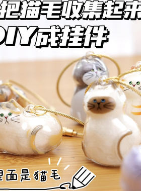 日本BRIGH TLINK透明猫毛存放收纳盒扭蛋毛发收集器小猫纪念吊饰