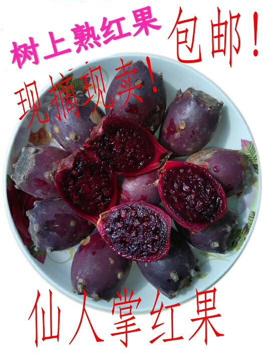 4斤包邮仙人掌红皮果仙人掌果仙人掌果实仙人在类目 水产肉类/新鲜蔬果/熟食, 新鲜水果, 其它中 - 来自Buy2taobao.com提供专业的淘宝代购服务