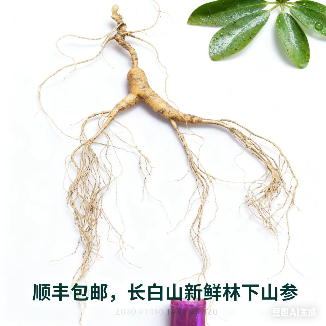 东北新鲜林下参野山参整枝长白山人参鲜参老人参泡酒煲汤人叁籽参