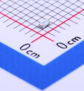 0441002.WR 一次性保险丝 贴片式陶瓷保险丝