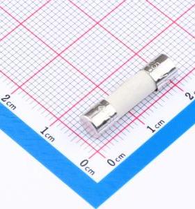 0234010.MXP 一次性保险丝 250V