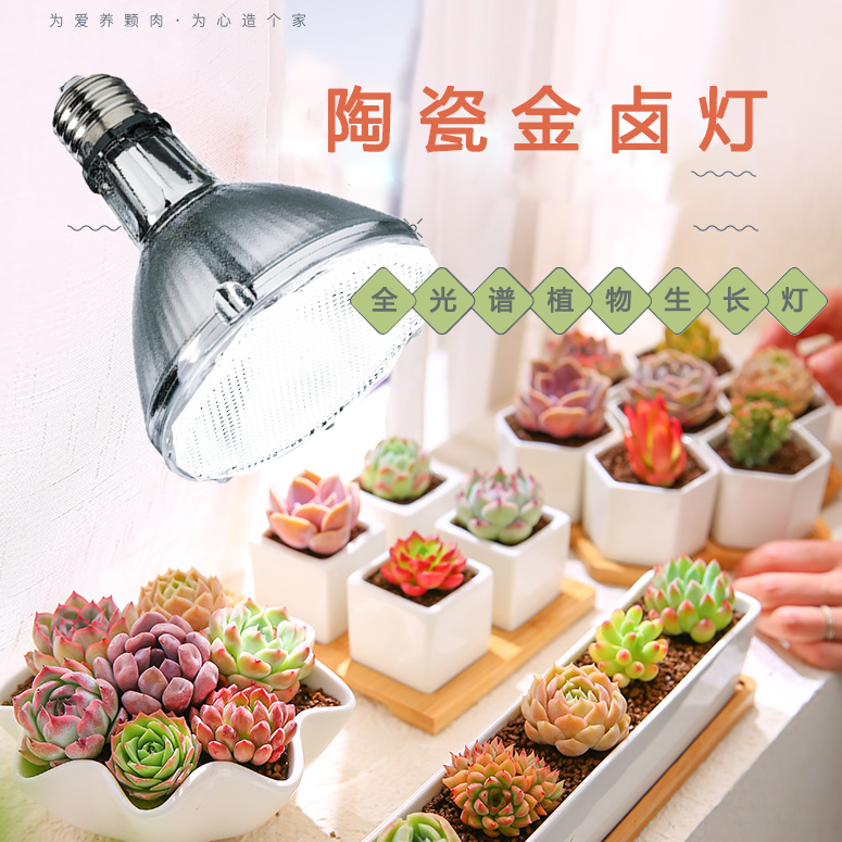 多肉植物全光谱70W金卤补光灯E27灯头上色乌龟晒背水草鱼阳光紫外