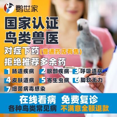 鹦鹉专业兽医在线问诊生病虎皮牡丹玄凤鸟类八鹩鸽咨询指导急救药