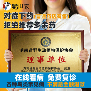 鹦鹉兽医生在线问诊疗看病咨询虎皮牡丹玄凤小太阳和尚鸟禽类医院