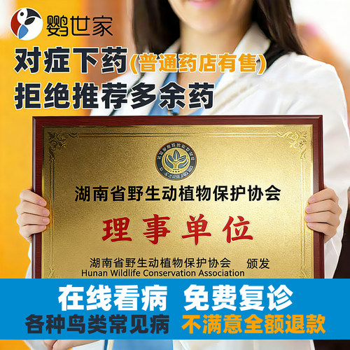 专业鸟宠兽医在线问诊