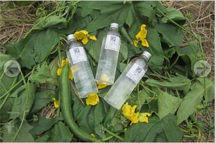 丝W崇明农家丝瓜水喷雾补水植物瓶250ML4