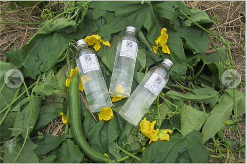 1丝W崇明农家丝瓜水喷雾补水植物瓶250ML4
