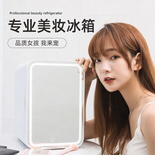 速发迷你小冰箱小型冰用宿箱车载家舍学生冷藏冷冻单人小冰柜