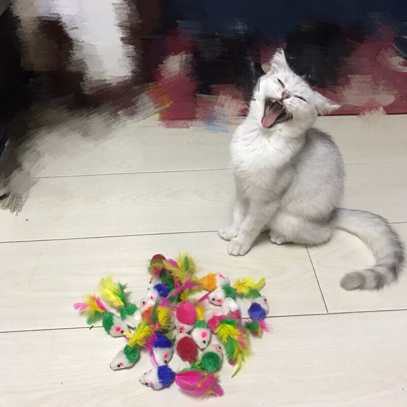 速发猫咪小玩具羽只小老鼠8含沙子沙沙声内毛装铃铛小球10个 耗子