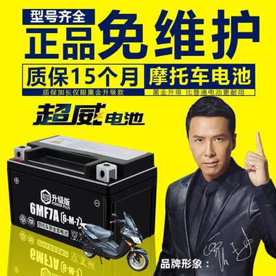 免维护踏板车电瓶CHILWEE/超威