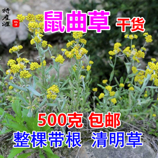 鼠曲草干货佛耳草包邮整颗带根500g新晒无心草清明草鼠鞠草中药材
