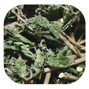 荨麻草 四川白活麻 干货蝎子草包邮 青活麻 火麻藿麻杆叶根中药材