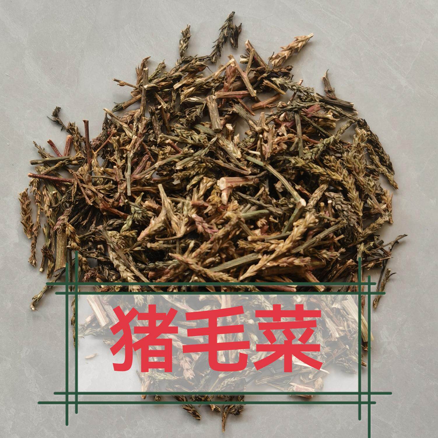 猪毛菜 干货猪毛草500g包邮 扎蓬棵 刺蓬 三叉明棵 蓬子菜 中药材