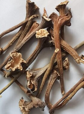 中药材干货茄蒂茄子把
