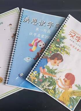 识字洪恩洪恩组合配套