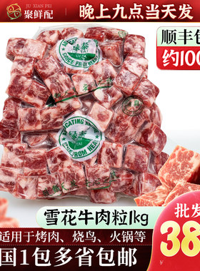 绿泰雪花牛肉粒2斤商用烧烤食材