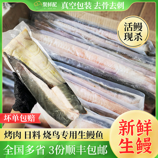 新鲜碳烤河鳗白鳗海鳗 烤肉店食材去头去骨去内脏生鳗鱼片500g/条