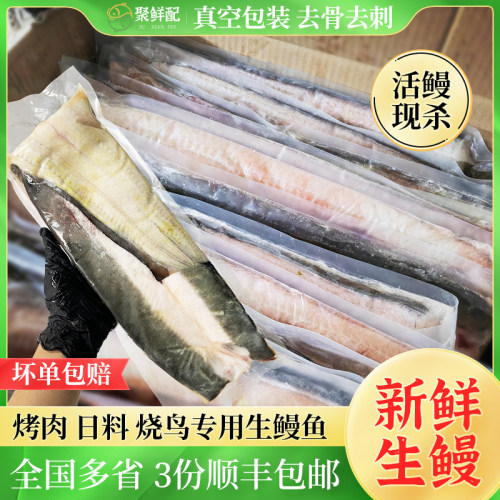 新鲜碳烤河鳗白鳗海鳗 烤肉店食材去头去骨去内脏生鳗鱼片500g/条