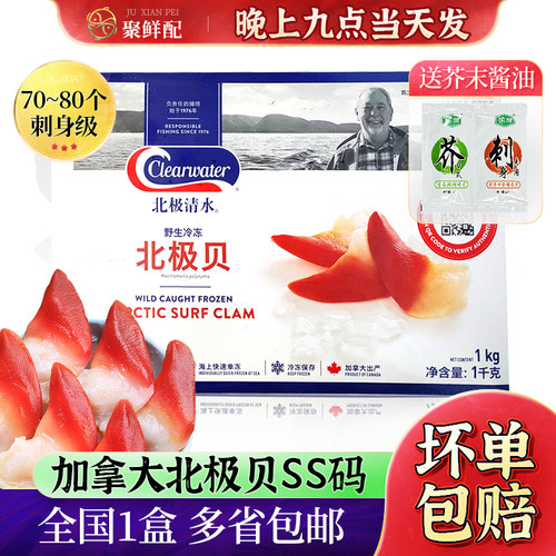进口SS码新鲜北极贝日料店刺身