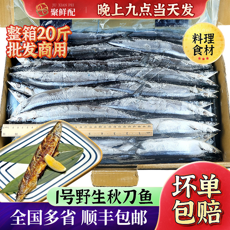 广东一件包邮 一号秋刀鱼20斤一箱 冷冻新鲜海鱼日式秋刀鱼烧烤