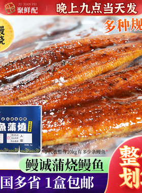 鳗城蒲烧鳗鱼20P日式料理10条p寿司烤鳗寿司店少汁烤鳗鱼饭拌饭