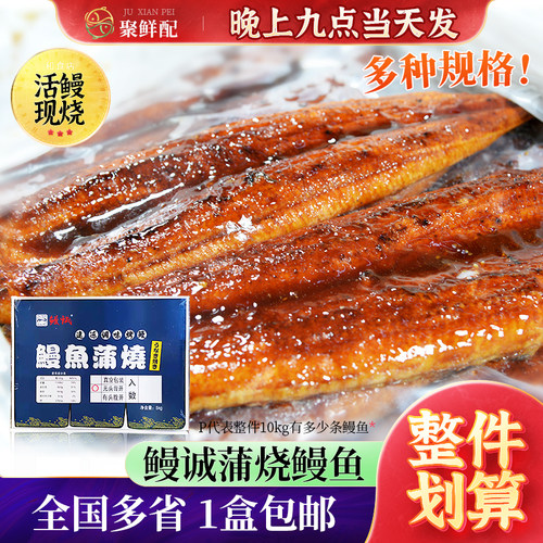 鳗城蒲烧鳗鱼20P整条烤鳗鱼烧鳗
