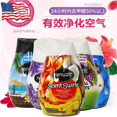 Renuzit蕊风固体空气芳香清新剂