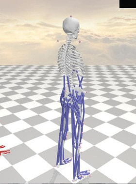 anybody ‌Visual3D数据生物力学肌肉力关节力矩建模仿真分析代做