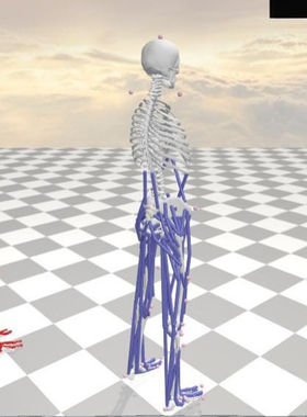 anybody ‌Visual3D数据生物力学肌肉力关节力矩建模仿真分析代做